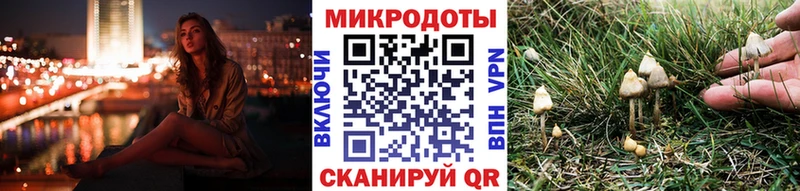 Галлюциногенные грибы мицелий  купить наркоту  Кировск 
