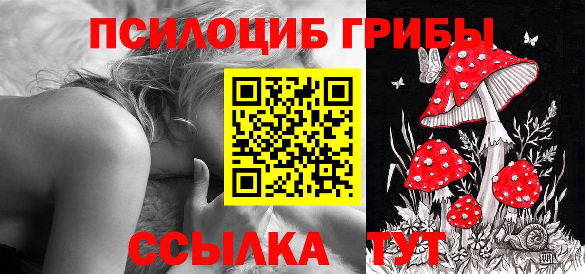 Галлюциногенные грибы Psilocybe Кировск